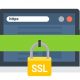 آیا استفاده از گواهینامه ssl در وب سایت ها ضروری است؟