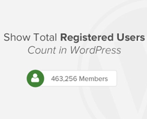نمایش تعداد کاربران ثبت نام شده در وردپرس