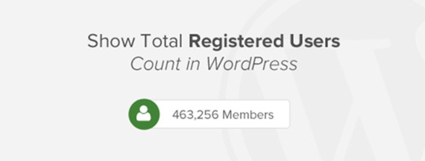 نمایش تعداد کاربران ثبت نام شده در وردپرس